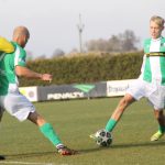 V Roudném udělal rozdíl ve skóre střelec Kadlec. Výstavní trefou pojistil výhru Malše