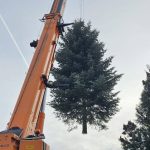 Na náměstí Míru v Jindřichově Hradci dorazil vánoční strom. Rozsvícení doplní tóny Bee Bandu