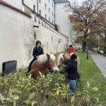 Kamenný most v Písku ožil Svatomartinskou nedělí. Žebrák letos málem zůstal bez pláště