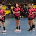 Memoriál Rudolfa Žaby ovládly Slovenky, Písku cinkl bronz