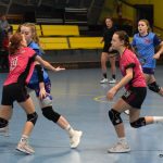 Memoriál Rudolfa Žaby ovládly Slovenky, Písku cinkl bronz