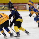 Dorost Králů byl na ústeckého favorita krátký