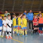 OFS Písek si připomněl Vráťu Pekla vánočním turnajem, v písecké obloukovce zápolily přípravky