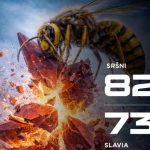 Dva sváteční busy Sršňů čekaly na výhru svých borců pětadvacet minut