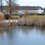 Na Štěpána se běhalo kolem Tálínského rybníka