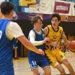 VIDEO: Hra kočky s myší skončila pro Severočechy hrůzným debaklem