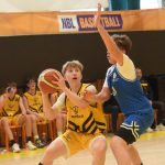 VIDEO: Hra kočky s myší skončila pro Severočechy hrůzným debaklem