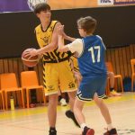 VIDEO: Hra kočky s myší skončila pro Severočechy hrůzným debaklem