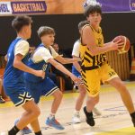 VIDEO: Hra kočky s myší skončila pro Severočechy hrůzným debaklem