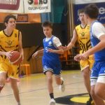 VIDEO: Hra kočky s myší skončila pro Severočechy hrůzným debaklem