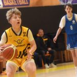 VIDEO: Hra kočky s myší skončila pro Severočechy hrůzným debaklem