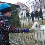 Sousedské setkání u kapličky patří k neodmyslitelným vánočním tradicím Předotic