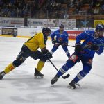 Hokej: Táborští kohouti vyprovodili zlínské berany. Na videu vybrali hráče zápasu fanoušci. Slovo dostal i důrazný bek