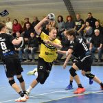 Strakoničtí házenkáři obrali favorita a dotáhli se bodově na Zlín