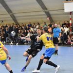 Důležité body zůstaly soupeři. Strakonice podlehly Kopřivnici 31:33