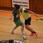 Tradiční Memoriál Františka Roučky je zpět. Turnaj se vrátil po čtyřech letech