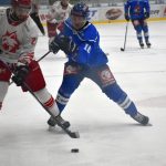 Hokej: Táborští kohouti doma bodovali naplno. Navzdory velké marodce těsně porazili Frýdek-Místek