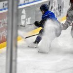 Hokej: Táborští kohouti doma bodovali naplno. Navzdory velké marodce těsně porazili Frýdek-Místek