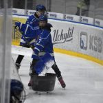 Hokej: Táborští kohouti doma bodovali naplno. Navzdory velké marodce těsně porazili Frýdek-Místek