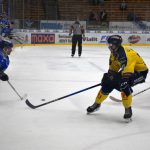 Hokej: Táborští kohouti vyprovodili zlínské berany. Na videu vybrali hráče zápasu fanoušci. Slovo dostal i důrazný bek