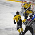 Hokej: Táborští kohouti vyprovodili zlínské berany. Na videu vybrali hráče zápasu fanoušci. Slovo dostal i důrazný bek