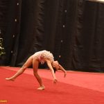 VIDEO: Gymnastky Kláry Petržilkové předvedly v Táboře vánoční i soutěžní choreografie