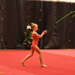 VIDEO: Gymnastky Kláry Petržilkové předvedly v Táboře vánoční i soutěžní choreografie