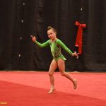 VIDEO: Gymnastky Kláry Petržilkové předvedly v Táboře vánoční i soutěžní choreografie