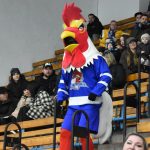 VIDEO: Přerov zůstává strašákem. Táboru se doma znovu zvítězit nepodařilo