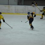 Jindřichův Hradec porazil s přehledem Veselí. Ve hře padlo 26 trestů