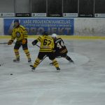 Jindřichův Hradec porazil s přehledem Veselí. Ve hře padlo 26 trestů