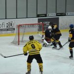 Jindřichův Hradec porazil s přehledem Veselí. Ve hře padlo 26 trestů