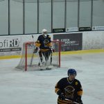 Jindřichův Hradec porazil s přehledem Veselí. Ve hře padlo 26 trestů