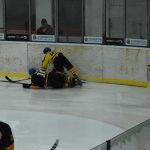 Jindřichův Hradec porazil s přehledem Veselí. Ve hře padlo 26 trestů