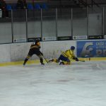 Jindřichův Hradec porazil s přehledem Veselí. Ve hře padlo 26 trestů