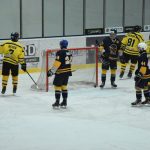 Jindřichův Hradec porazil s přehledem Veselí. Ve hře padlo 26 trestů