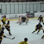 Jindřichův Hradec porazil s přehledem Veselí. Ve hře padlo 26 trestů