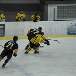 Jindřichův Hradec porazil s přehledem Veselí. Ve hře padlo 26 trestů