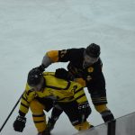 Jindřichův Hradec porazil s přehledem Veselí. Ve hře padlo 26 trestů