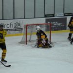 Jindřichův Hradec porazil s přehledem Veselí. Ve hře padlo 26 trestů