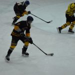 Jindřichův Hradec porazil s přehledem Veselí. Ve hře padlo 26 trestů