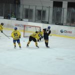 Jindřichův Hradec porazil s přehledem Veselí. Ve hře padlo 26 trestů