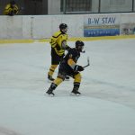 Jindřichův Hradec porazil s přehledem Veselí. Ve hře padlo 26 trestů