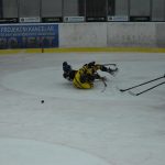 Jindřichův Hradec porazil s přehledem Veselí. Ve hře padlo 26 trestů