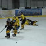 Jindřichův Hradec porazil s přehledem Veselí. Ve hře padlo 26 trestů