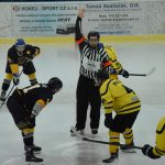 Jindřichův Hradec porazil s přehledem Veselí. Ve hře padlo 26 trestů