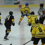 Jindřichův Hradec porazil s přehledem Veselí. Ve hře padlo 26 trestů