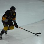 Jindřichův Hradec porazil s přehledem Veselí. Ve hře padlo 26 trestů