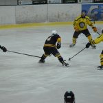 Jindřichův Hradec porazil s přehledem Veselí. Ve hře padlo 26 trestů