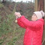 V Křenovicích ozdobili vánoční stromek v lesním divadle. Vede k němu adventní stezka